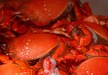 crab feast