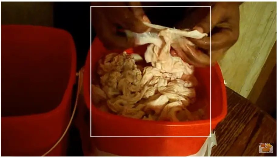 Southern-Style Deep-Fried Chitterlings Recipe