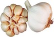 garlic cloves