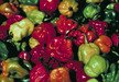 bell peppers