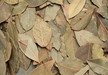 bay leaves